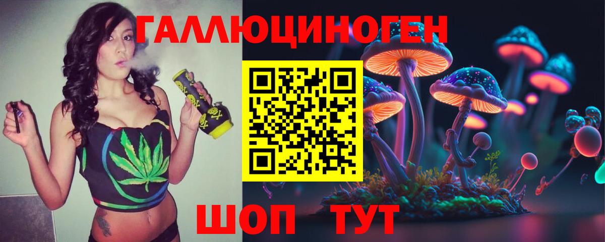 Галлюциногенные грибы GOLDEN TEACHER  Вход с VPN  Кинешма 